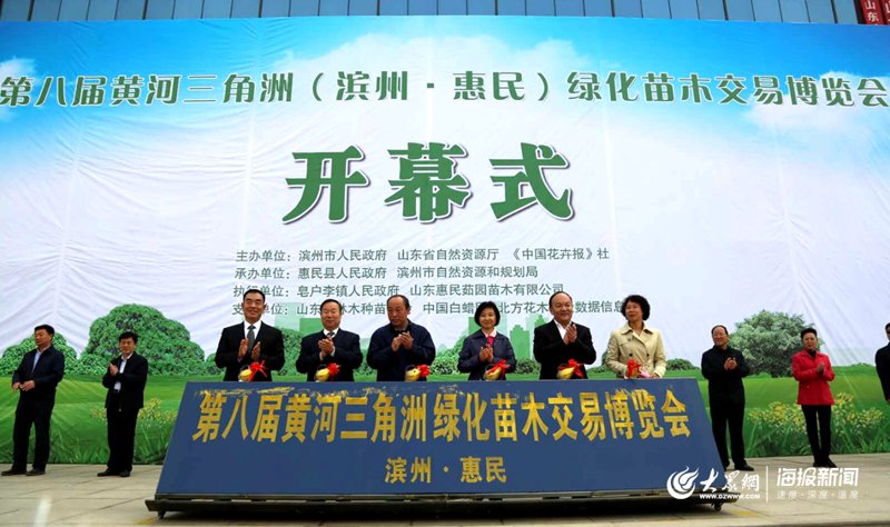 如何识别和保护国槐？——实战攻略