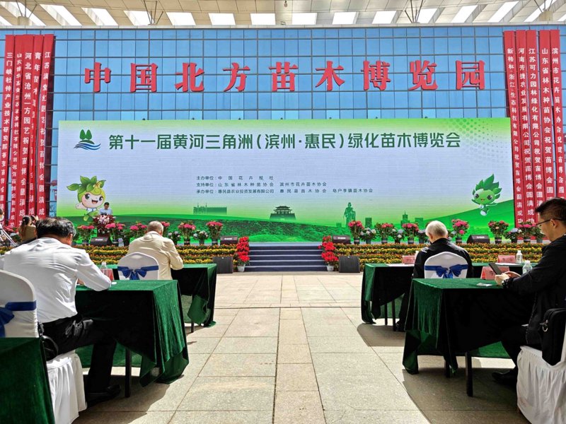 白蜡树在园林绿化中的应用价值